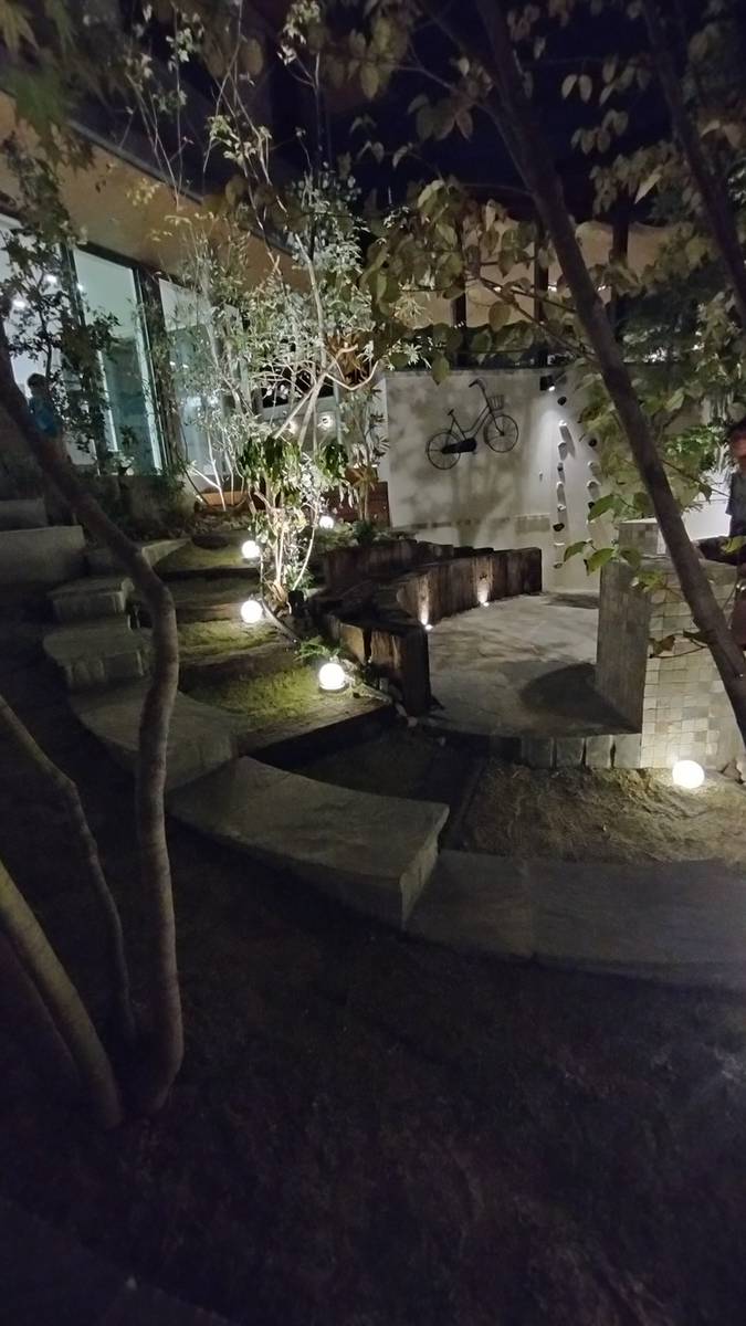 植物を引き立てる照明のコツ